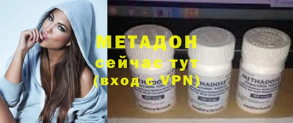 шишки Белокуриха