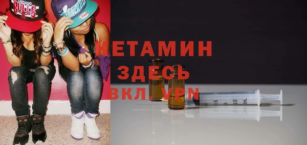 шишки Белокуриха
