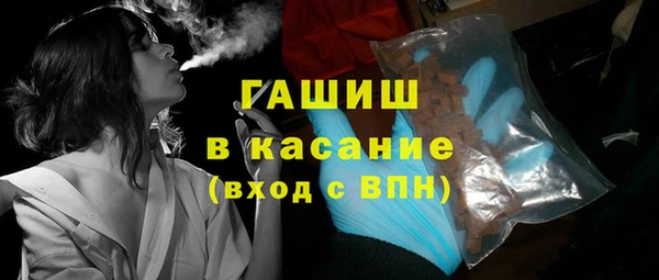 шишки Белокуриха