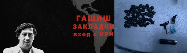 шишки Белокуриха