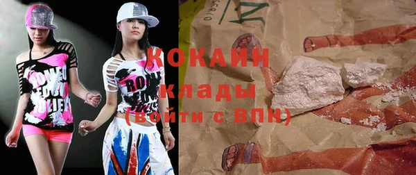 шишки Белокуриха