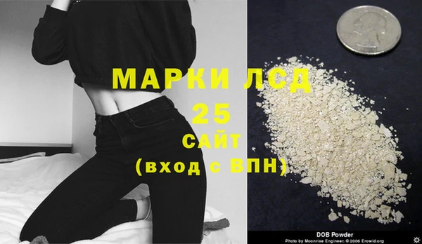 шишки Белокуриха